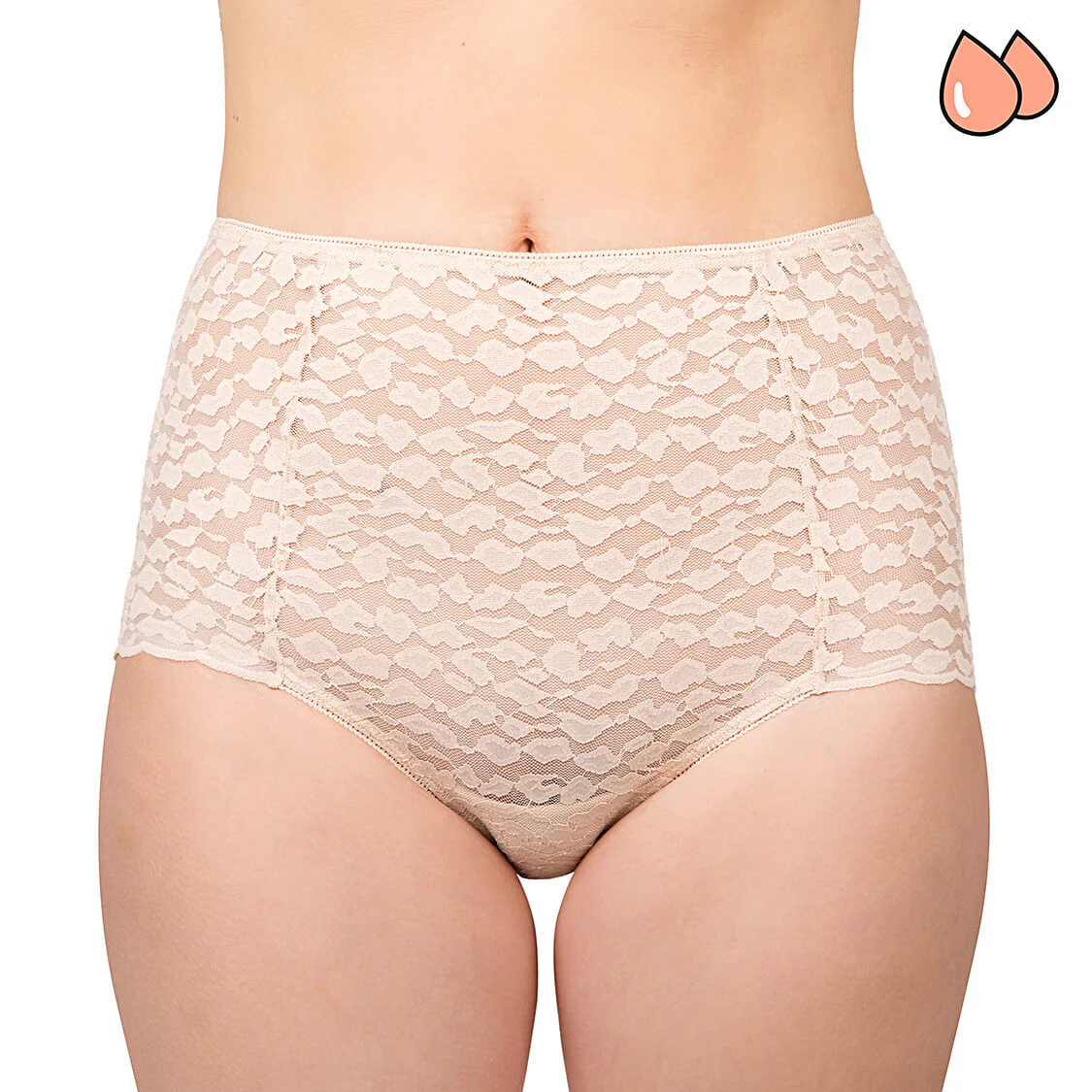 Her Highness Leakproof Briefs - Image 4